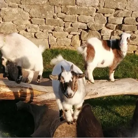 Am Schlosspark 4 *