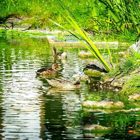 Am Schlosspark 4 * 브레이크