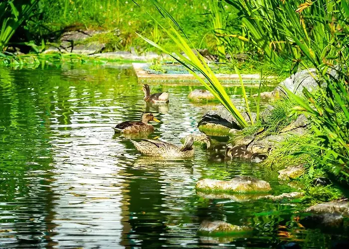 Am Schlosspark 4 * Brakel